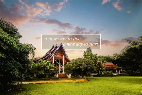 rehab thailand|Leading Drug and Alcohol Rehab Thailand & Mental .